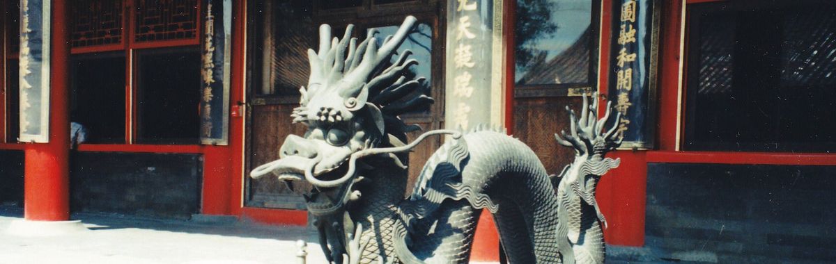 One of the many dragons one encounters in the Forbidden City in Beijing.
