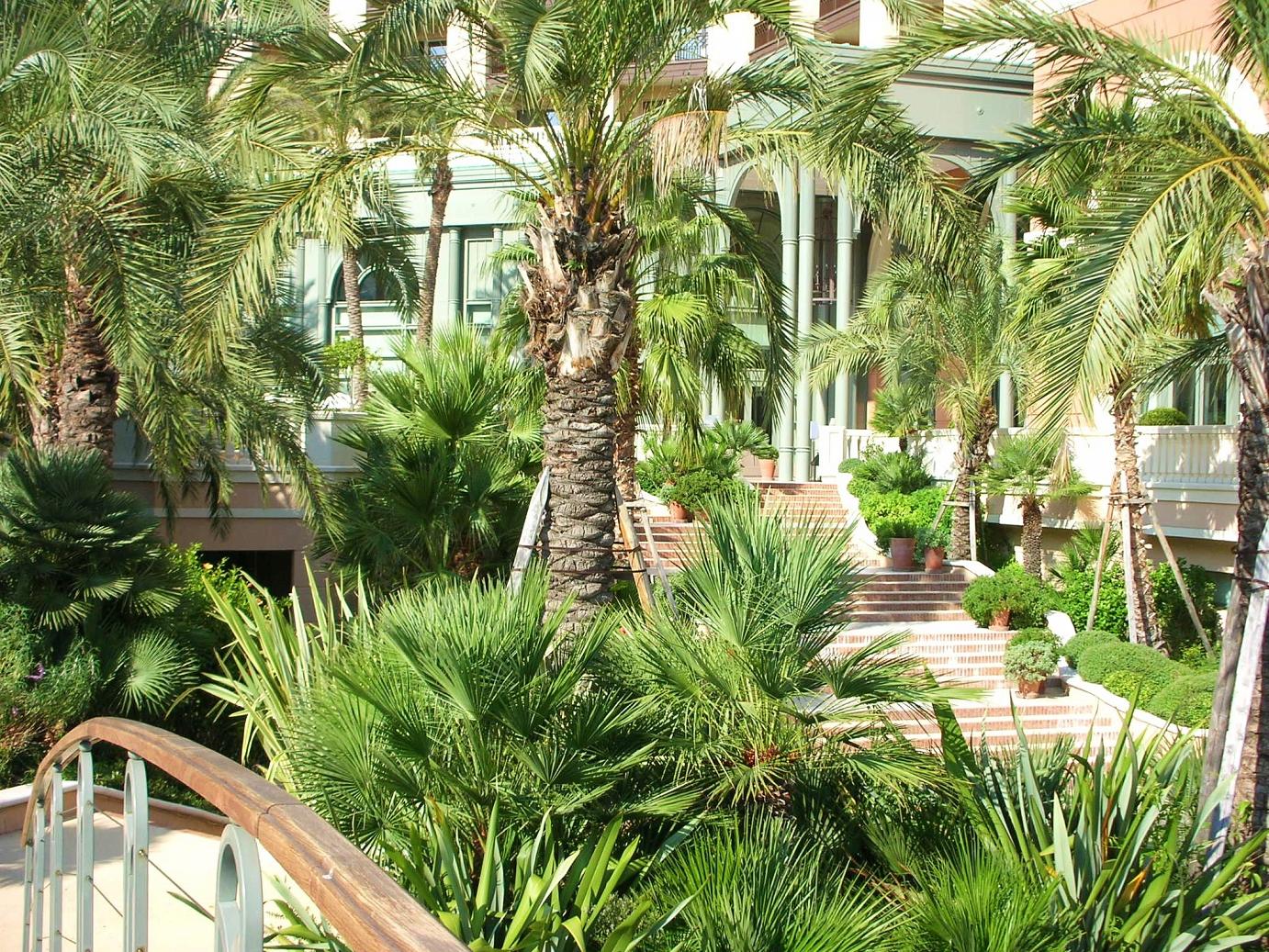 Monte Carlo Bay Resort Hotel