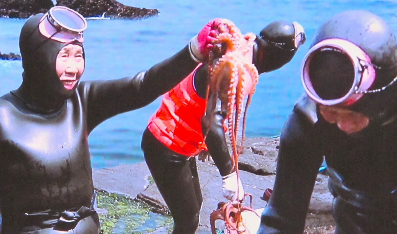 Tintenfische, wie hier, sind eher der Beifang einer Haenyo. Ihre  reguläre Beute: seltene Abalone-Schnecken, die sie vom Meeresboden klaubt.  Der Autor dieses Fotos ist unbekannt. goodmeetings.com hat es von einem lokal aufgestellten Poster abfotografiert.