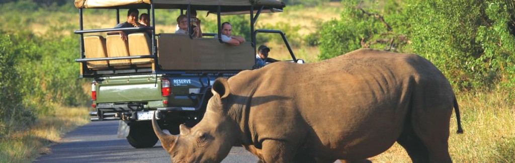 A rhino in KwaZulu Natal.