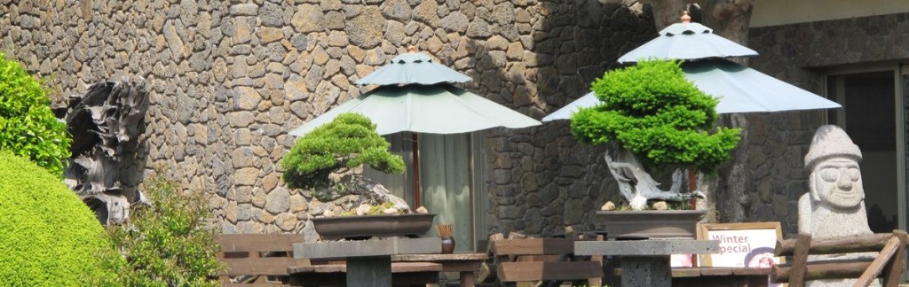 The Spirit Gardens on Jeju Island in South Korea offer a wealth of bonsai trees.
