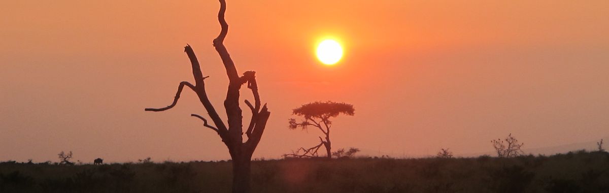 Dawn in the African bush: Preserving nature and resources are prime goals of humankind.
