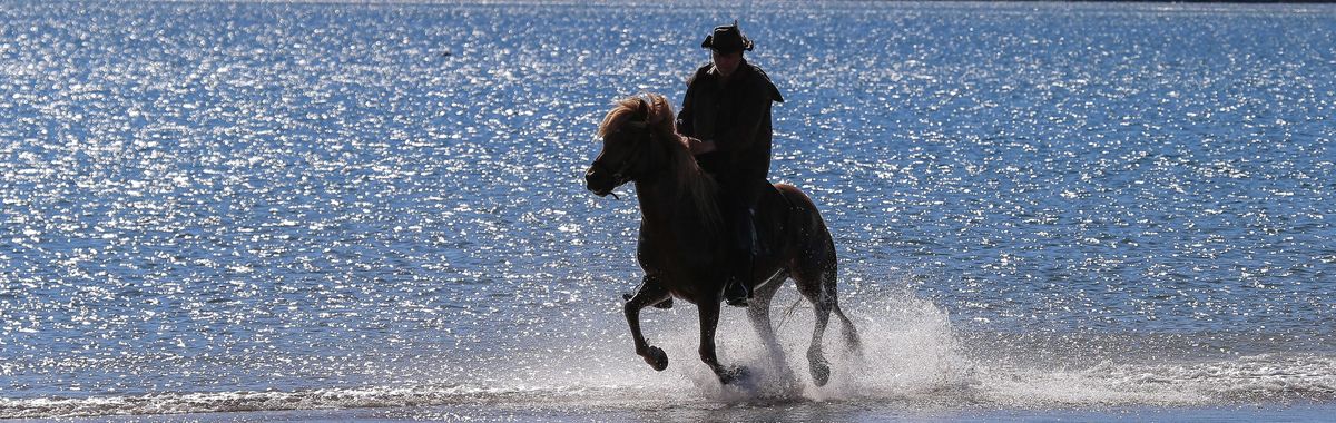 Spraying water: A horseback rider on an Icelandic shore.