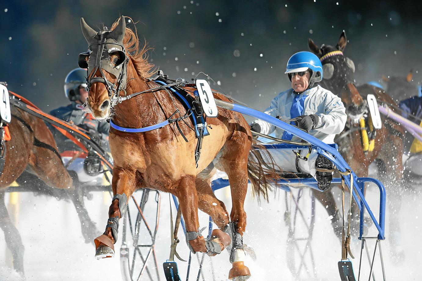  The Trotting Race is a fixed feature during the competition.        swiss-image.ch/Photo Andy Mettler
