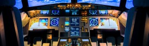 A flight simulator excuses laymen's shortcomings