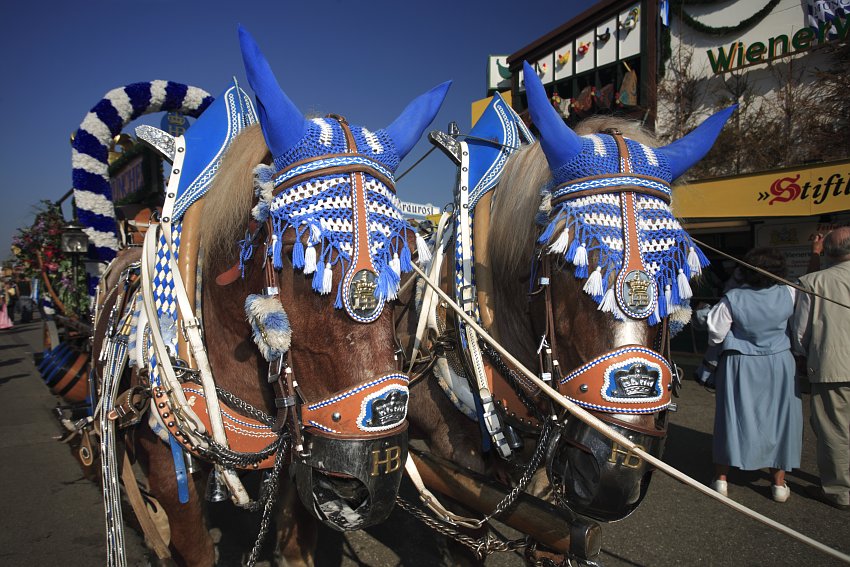Brewery horses made up for the colourful parade. Photo:  ©B. Roemmelt