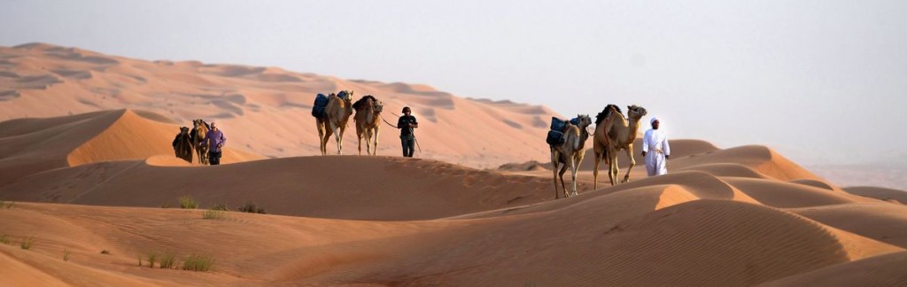 A Camel Train: OBO-Thomas-expedition, Kingdom of Bahrain